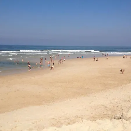 Vilaca בית נופש São Jacinto